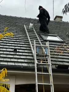 traitement tuiles l isle adam 95